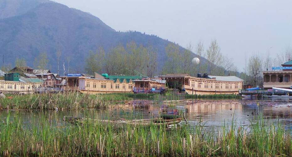 Bostan Gulistan Houseboat, Srinagar 3